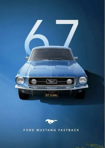 Mustang 67