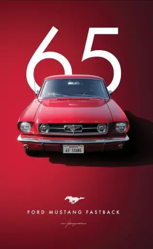 Mustang 65